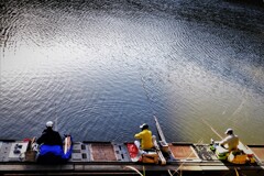 釣りもディスタンスらしい・・・