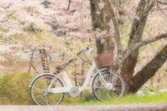 白い自転車・・・