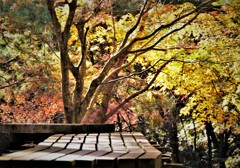 DSCF0040