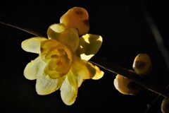 DSCN8565