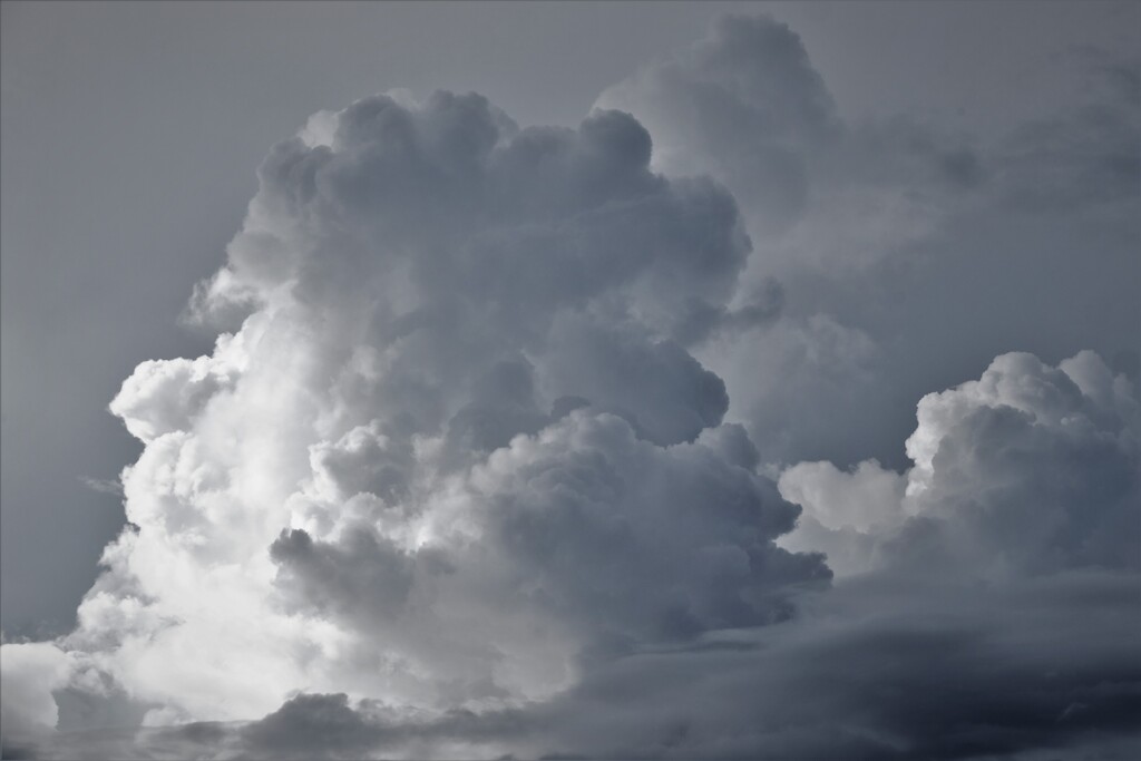 きょうの雲・・・