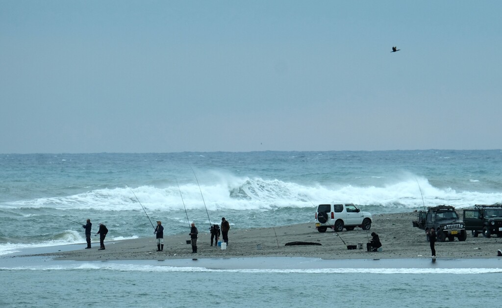 河口の釣り・・・