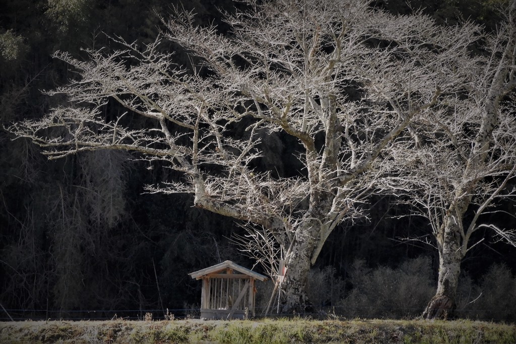 山手過疎地の風景・・・