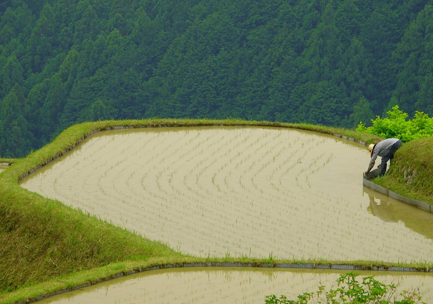 まもなく田植えに・・・