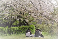 仲良しfriend・・・