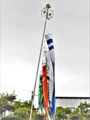 五月・・・