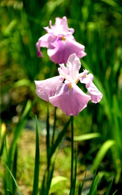 DSCF8376・・・4