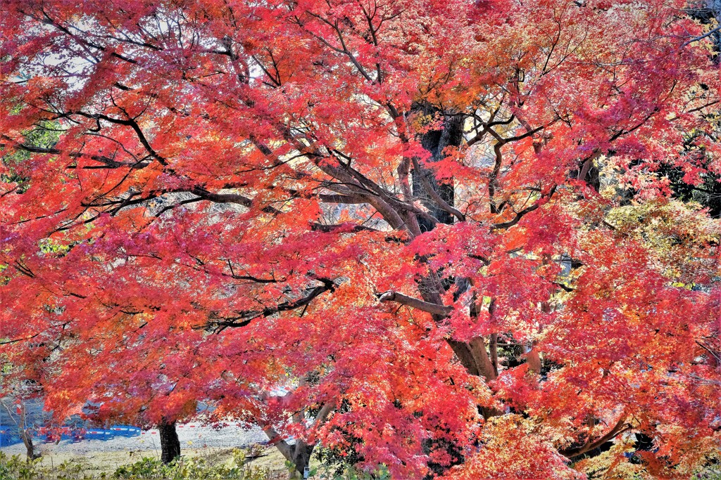 緑化公園にて・・・