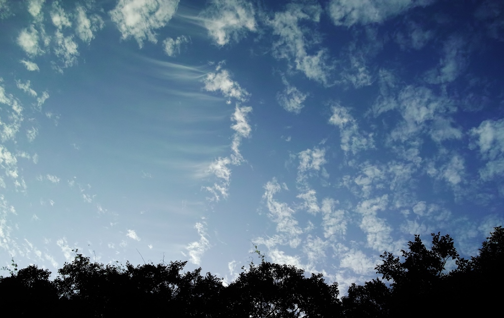 遠くのおもしろい雲・・・