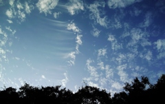 遠くのおもしろい雲・・・