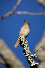 おっちゃん　よく来るな～