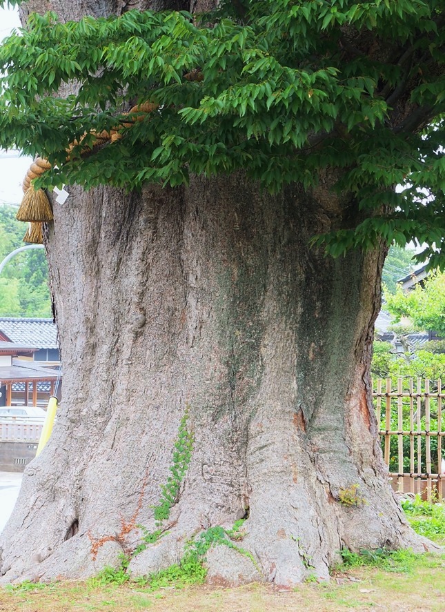 奥能登周遊
