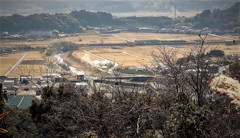 井伊谷城跡からの城下・・・