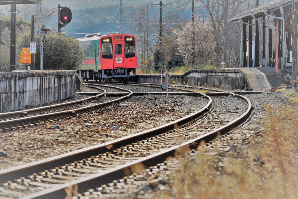梅咲く駅・・・