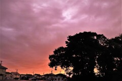西の夕空・・・・