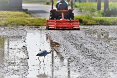 終りました・・・