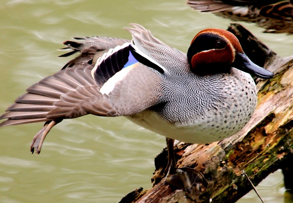 のびの～び・・・