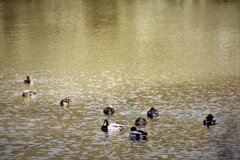 全員集合・・・