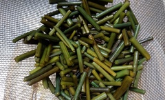 初物わらび・・・