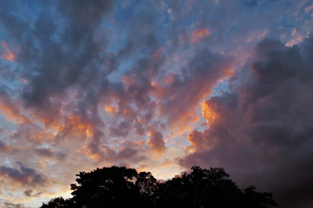 西の夕空