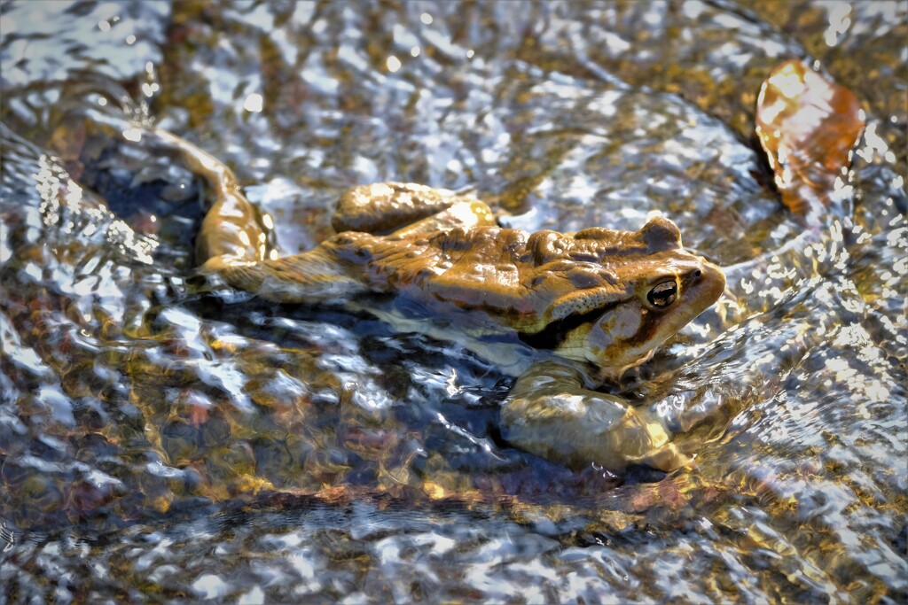 水温む・・・