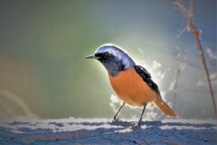 森林公園にて・・・4