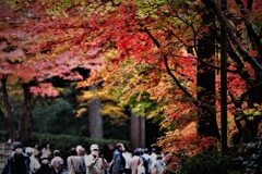 メイン通り・・・