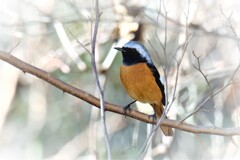 森林公園にて・・・