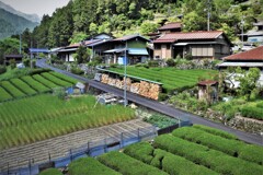 水窪の山里・・・