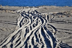 海へ・・・