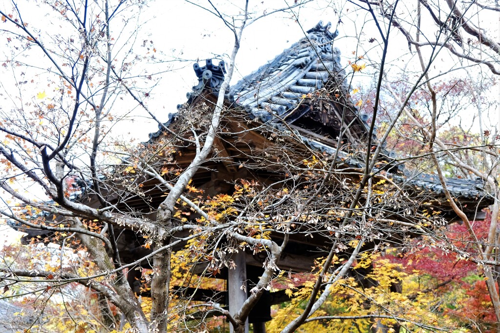 大桐院鐘楼・・・