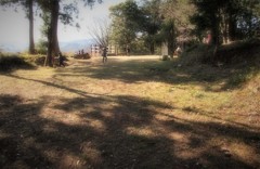 井伊谷城址公園・・・