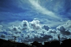 きょうは真夏空・・・