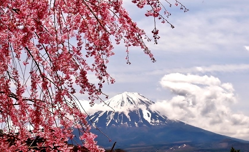 春富士・・・