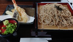 本日はキタワセ・・・
