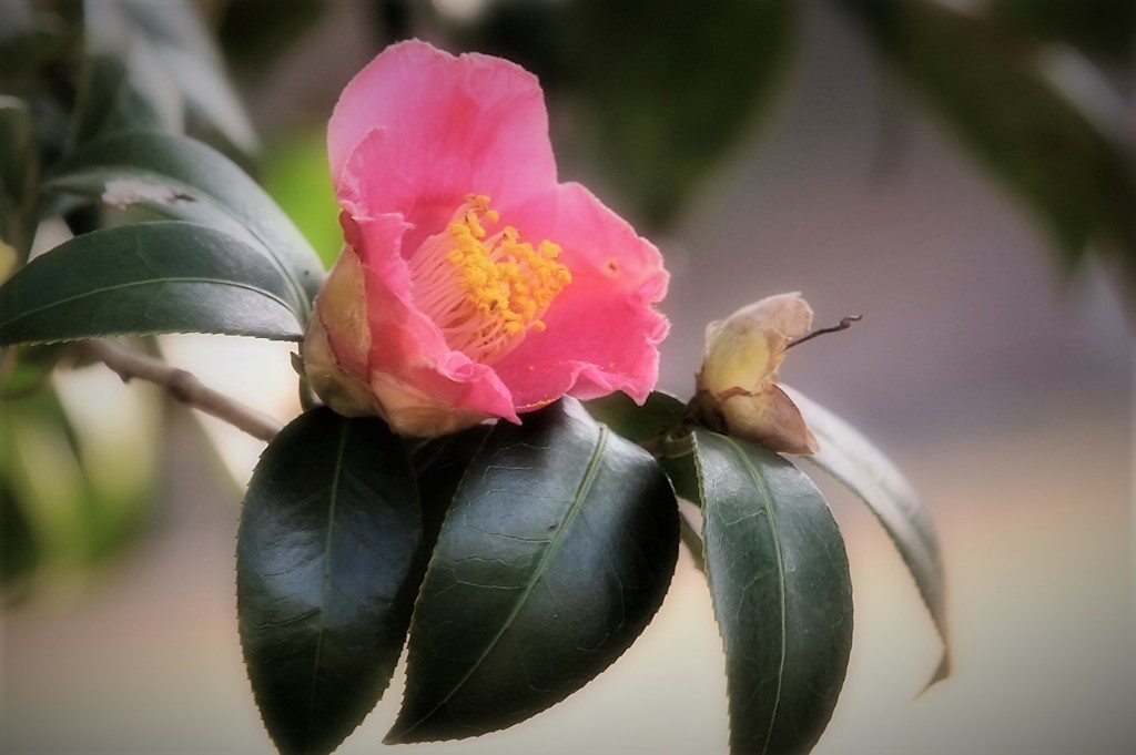 P1044858