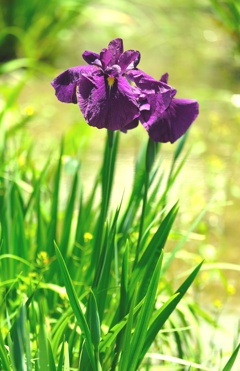 DSCF837・・・1
