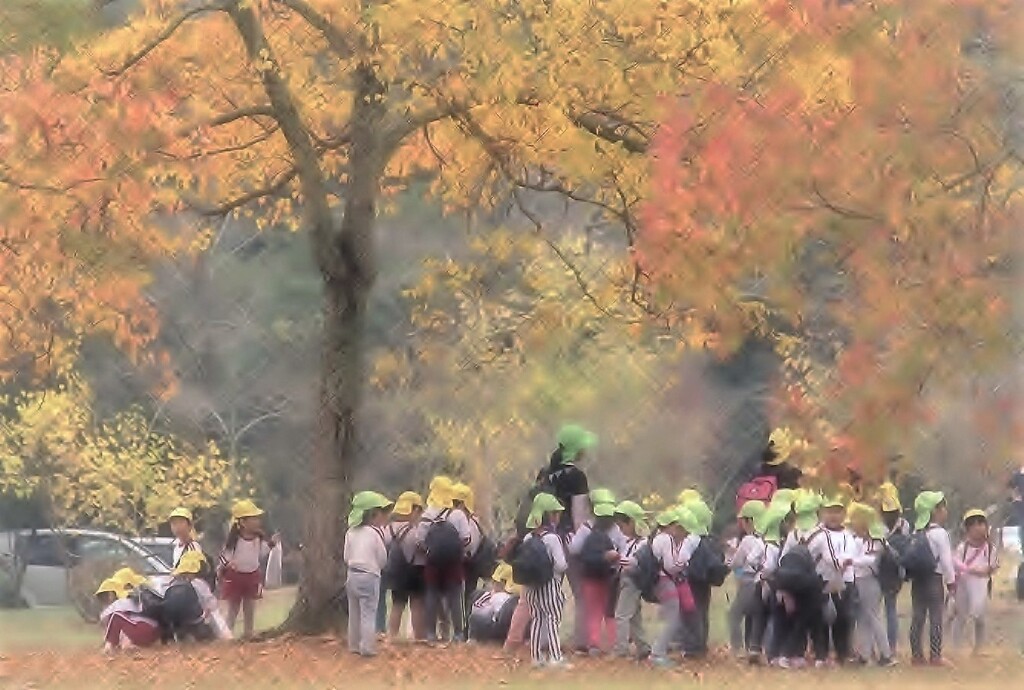 秋の遠足・・・