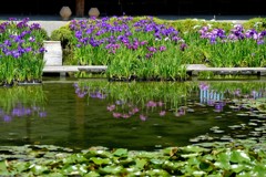 DSCF0043