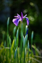 DSCF0023