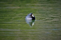 DSCF1014