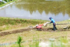 山あいのちいさな棚田・・・