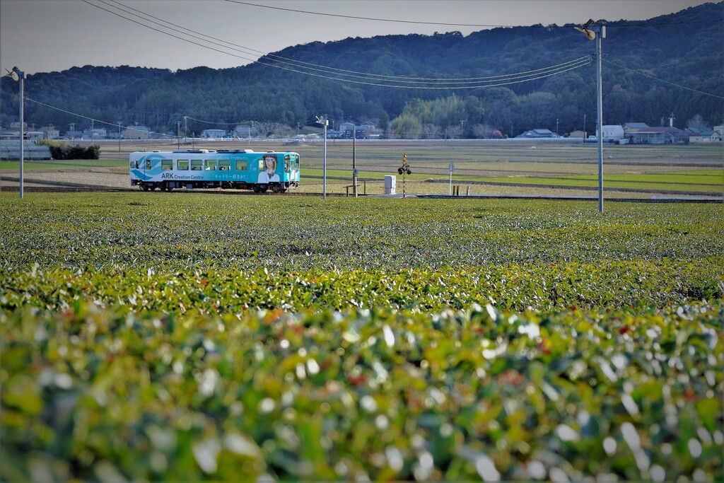 天浜線　敷地駅南・・・