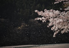 最終楽章・・・2