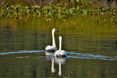 場所を変えよう・・・