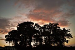裏の夕暮れ・・・