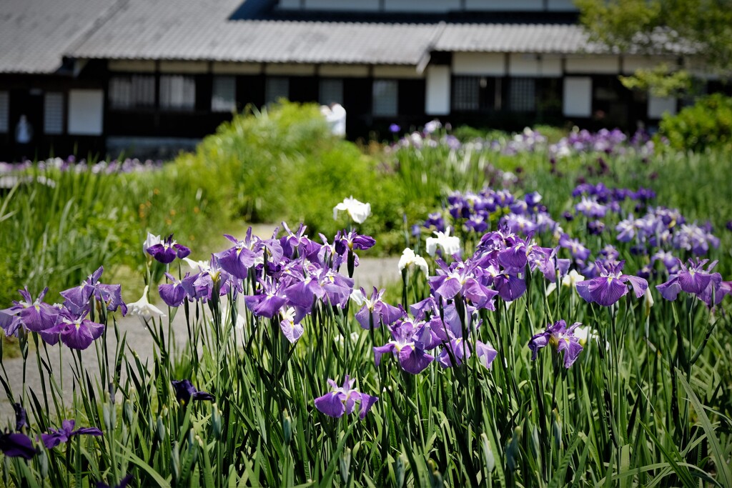 加茂荘にて・・・