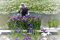 DSCF0005