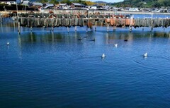 奥浜名湖・・・