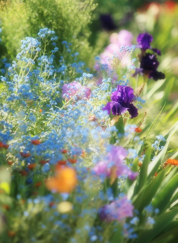 花の美術館にて・・・　1